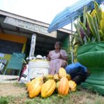 Chocolate Festival of Belize 2019 1