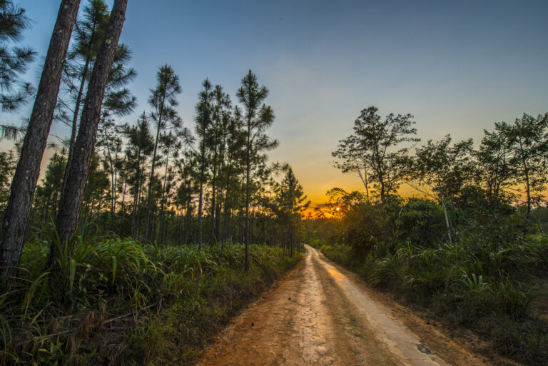 How to Experience Belize Like a Local 2