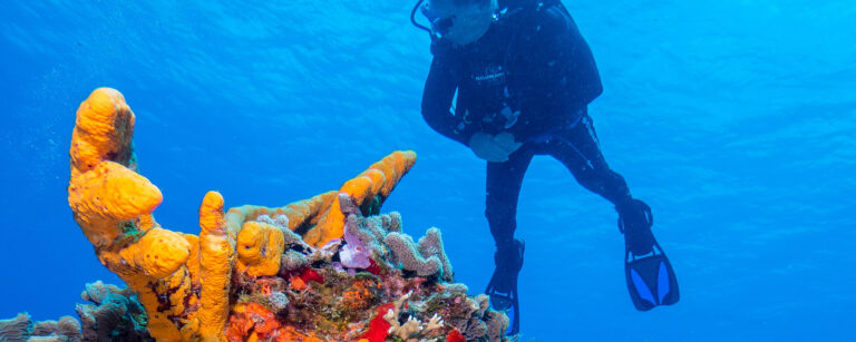 Belize featured in three "Best of 2018" Lists| Barrier Reef