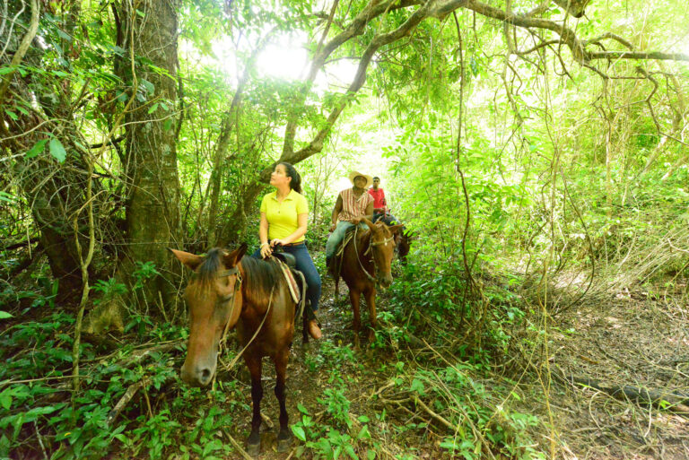 Belize Spring Break | Horseback Riding