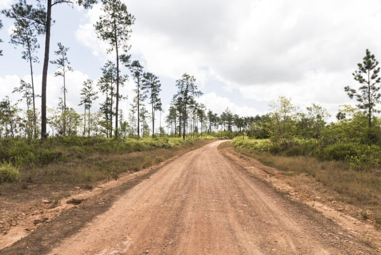 mountain pine ridge belize | places to social distance 2