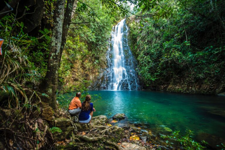 Forest Bathing in Belize | 3