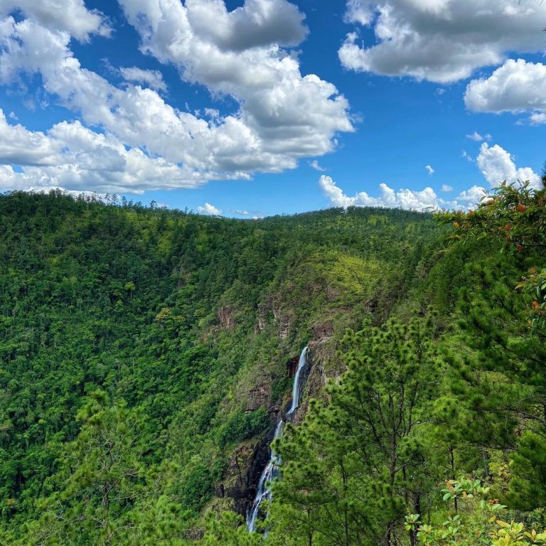 Thousand Foot Falls- Mountain Pine Ridge