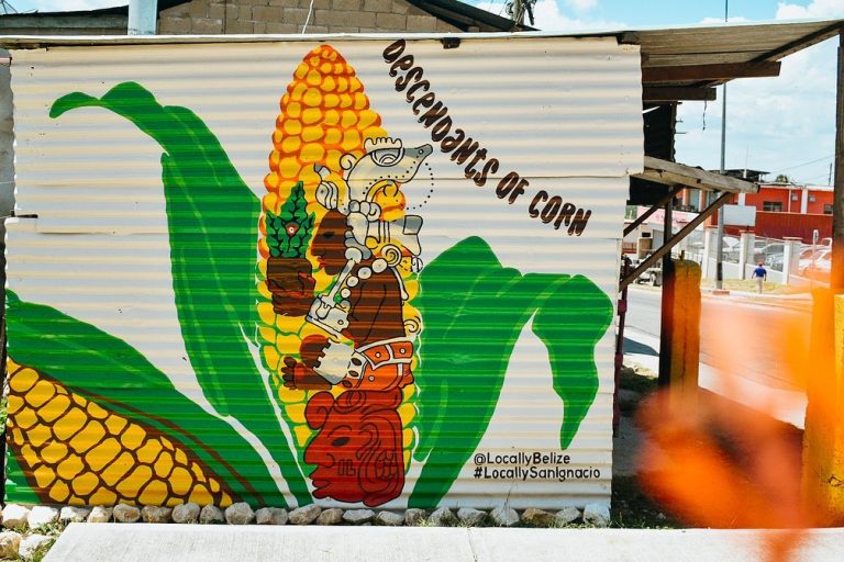 Why Street Art is a Must-Visit on your Belize Vacation