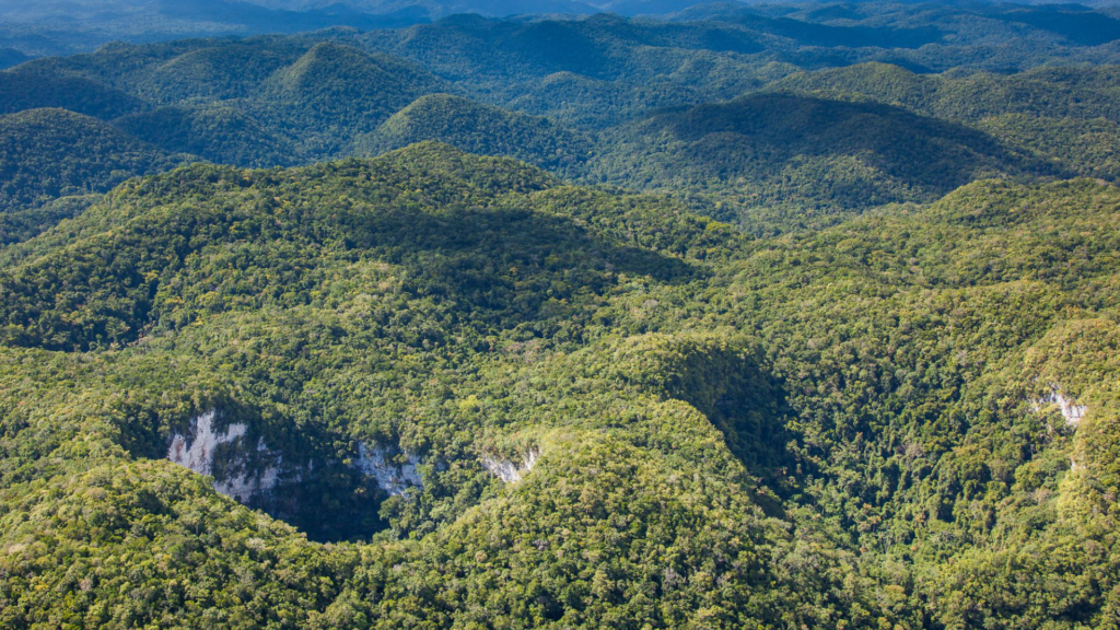 Chiquibul National Park - Travel Belize