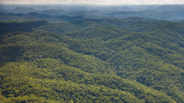 Chiquibul National Park | Hiking in Belize | Travel Belize