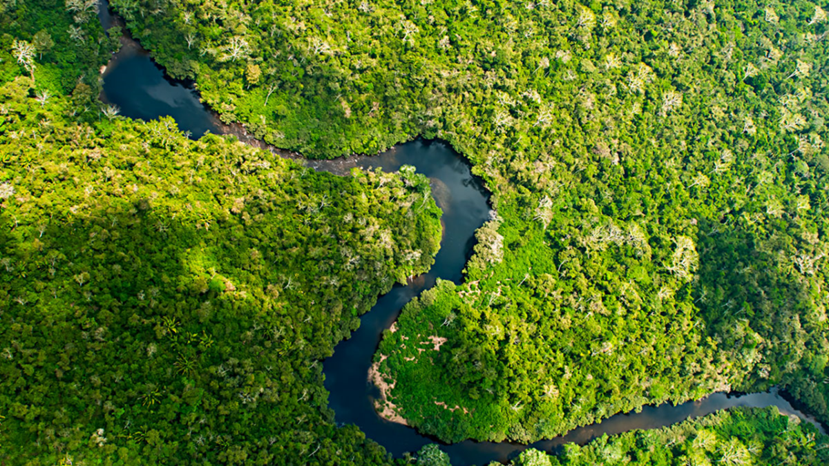 Chiquibul National Park | Hiking in Belize | Travel Belize