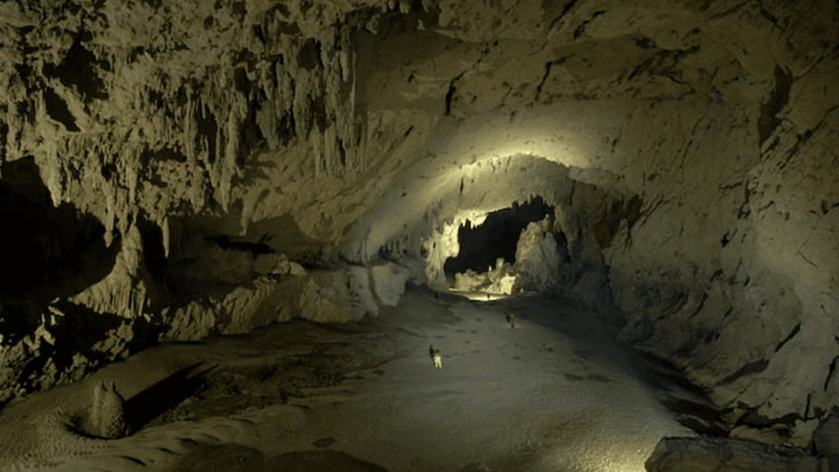 Chiquibul National Park | Hiking in Belize | Travel Belize