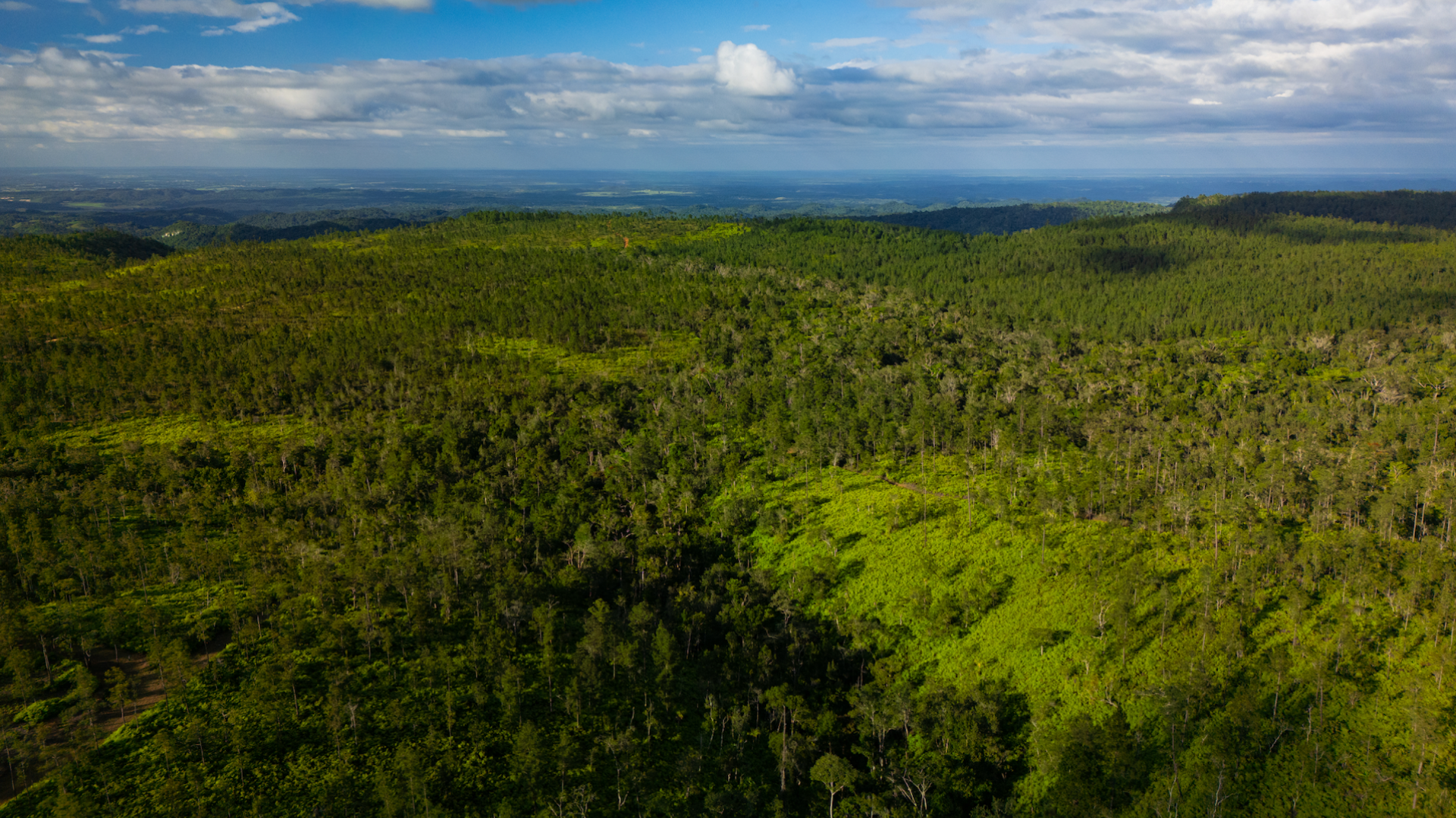 5 Thrilling Activities to Explore Belize's Rainforest