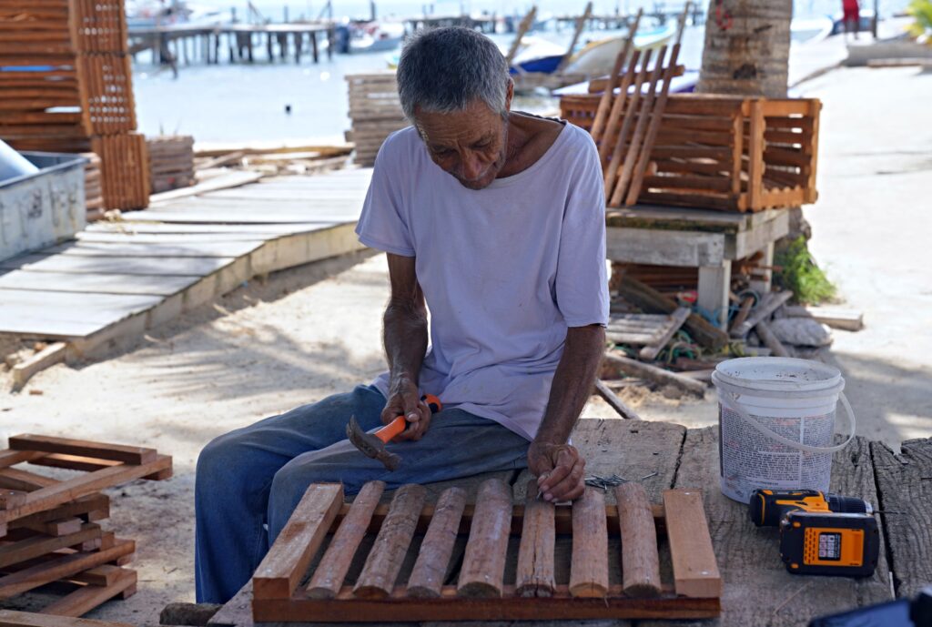 local belize fisherman building lobster traps for ocean conservation