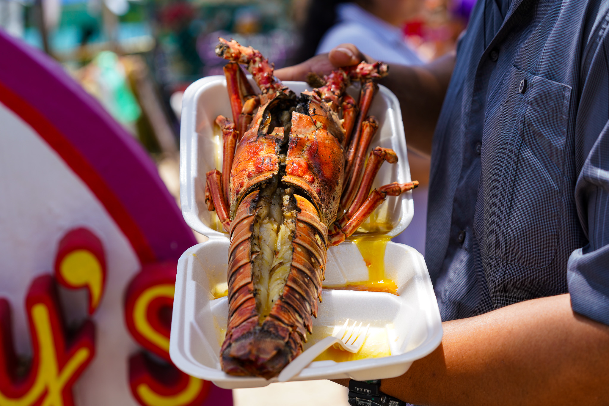 fresh lobster found at Belize Lobster Festivals