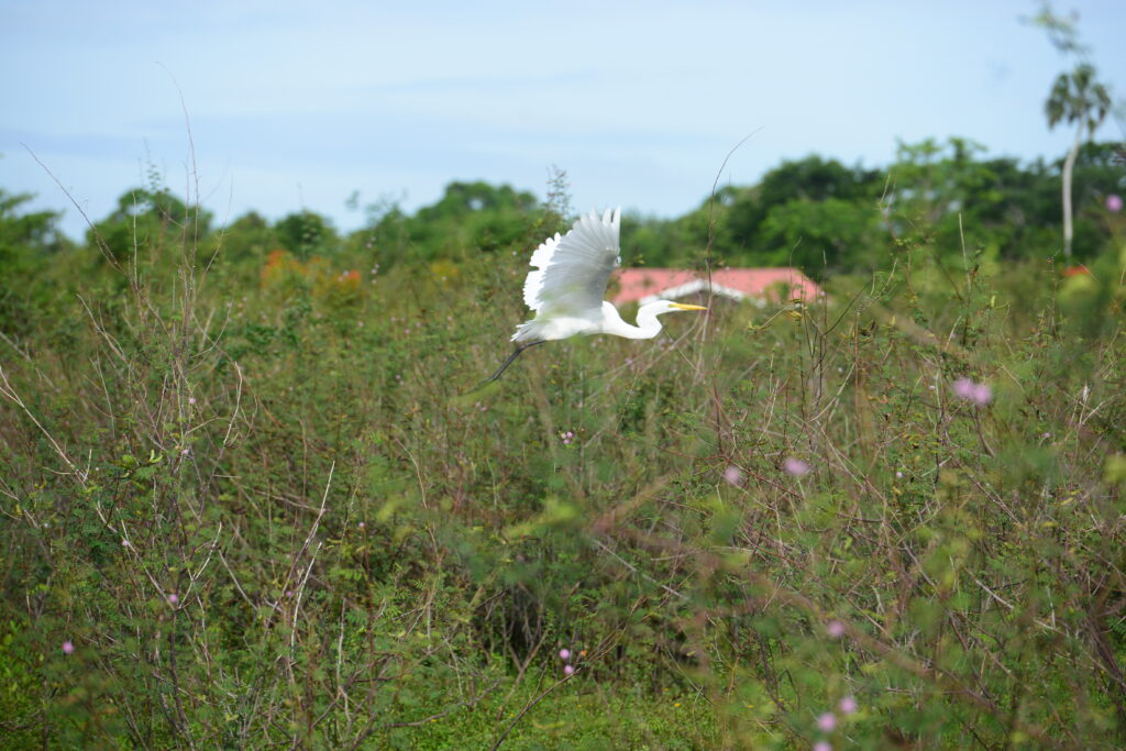 Travel Belize