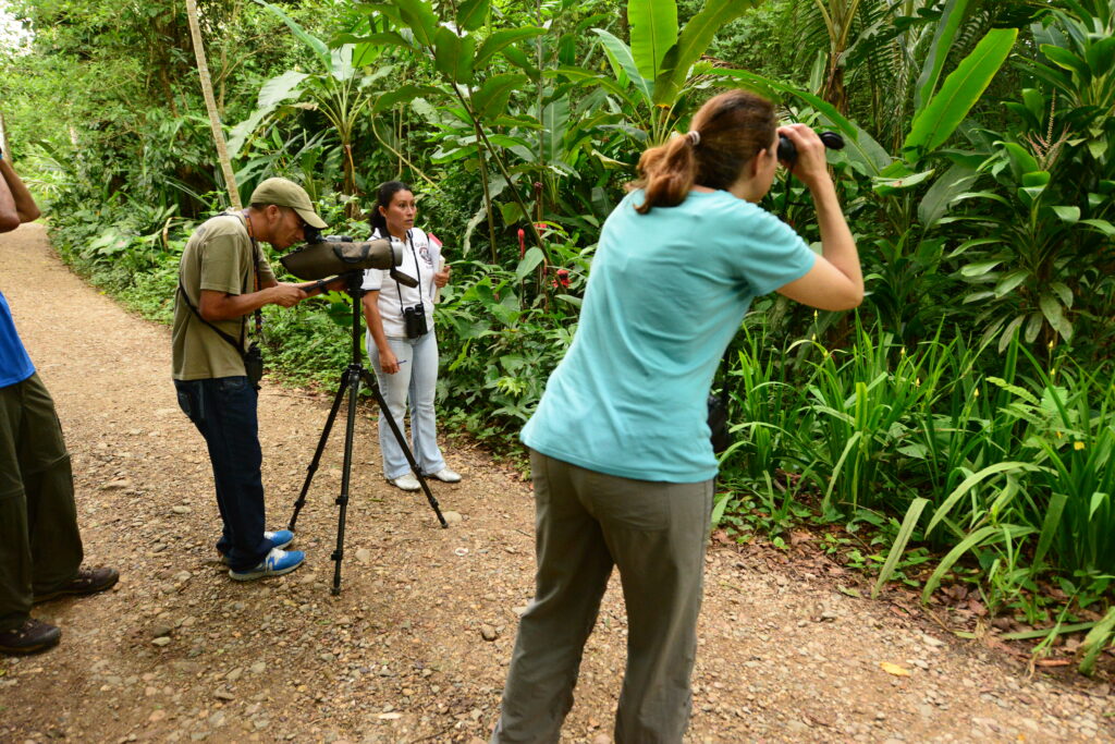 Travel Belize