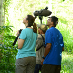 Join the Fun of Birding in Belize