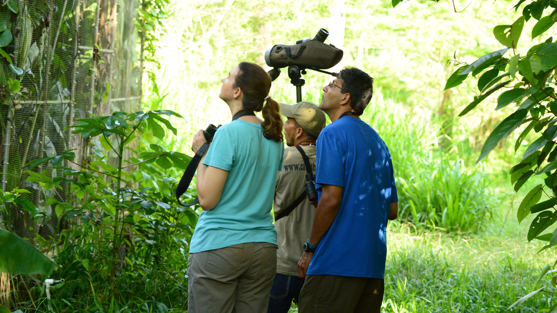 Join the Fun of Birding in Belize