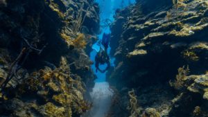 scuba diving in belize